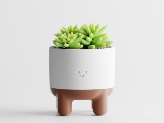 Cute Smiling Plant Pot